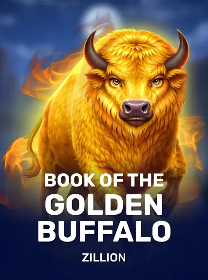 Book of Dead pokie at Bizzo Casino
